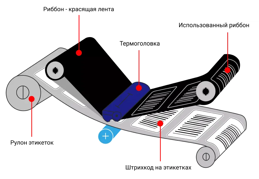 Group 47484.png Group 47484.png