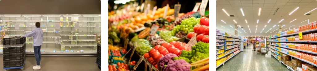 tsd image 1.png tsd image 1.png